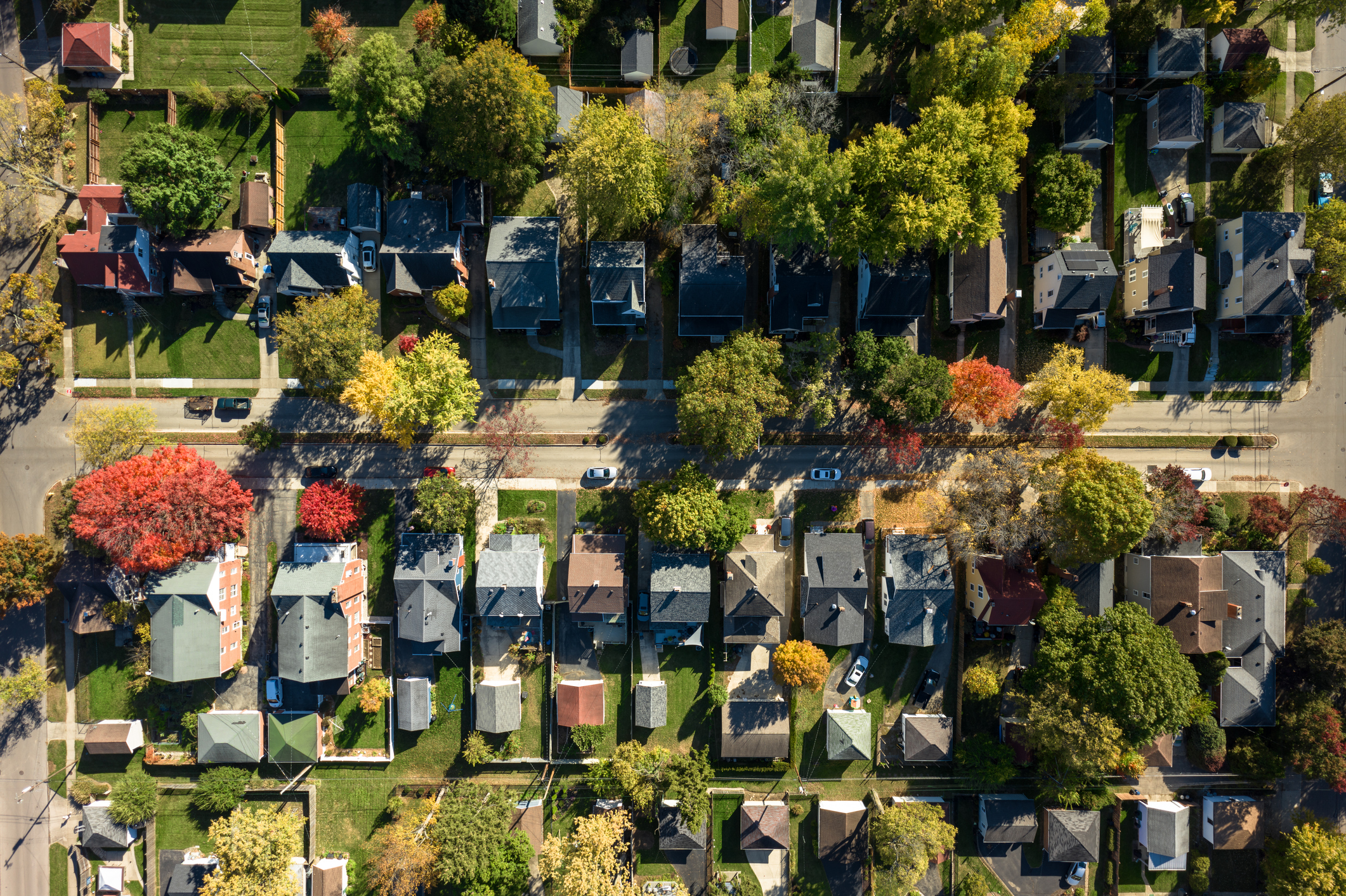 Row of homes in neighborhood